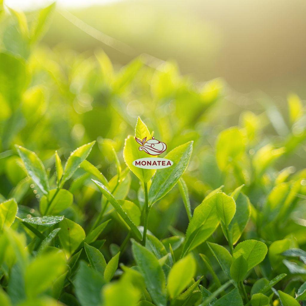 untitled design (40)